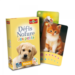 defis-nature-des-petits-maison-a-partir-de-4-ans