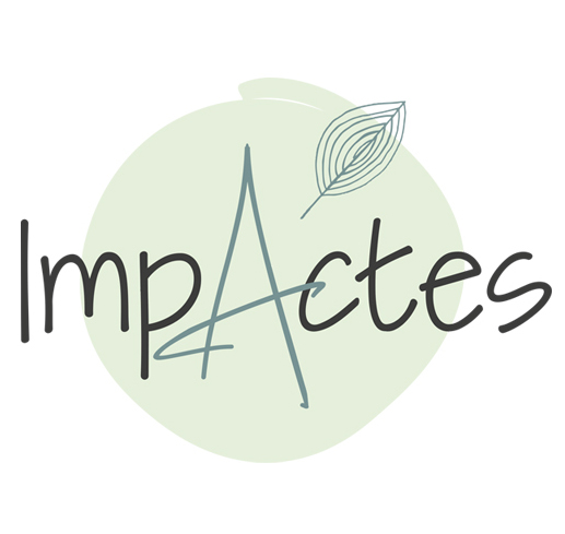 banniere site petit logo impactes